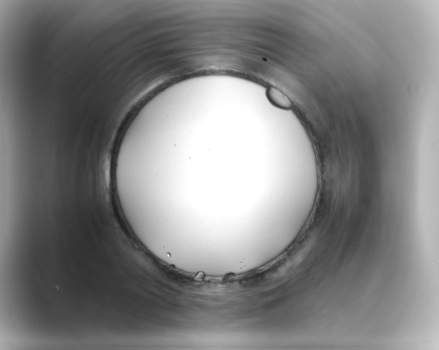 X0000088680790200706211908