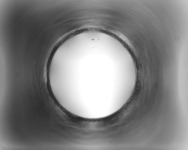 X0000088680791200706211908