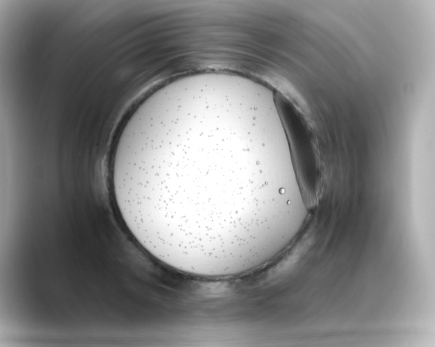 X0000088680798200706211908