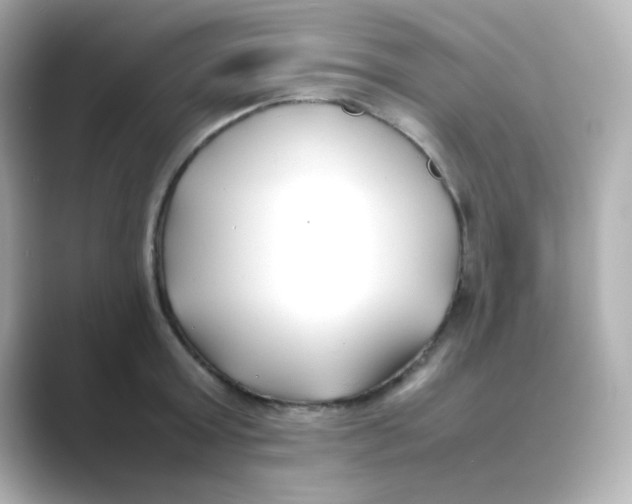 X0000088680803200706211908