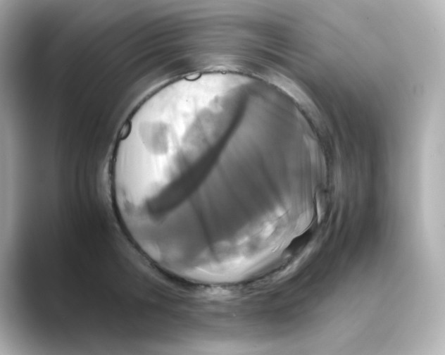 X0000088680806200706211908