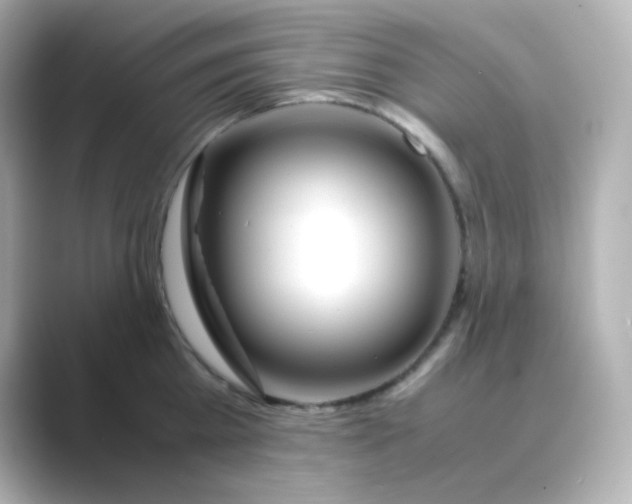 X0000088680809200706211908