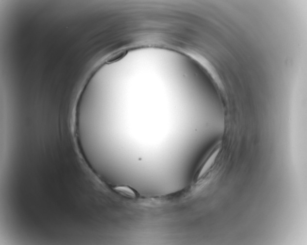 X0000088680815200706211908