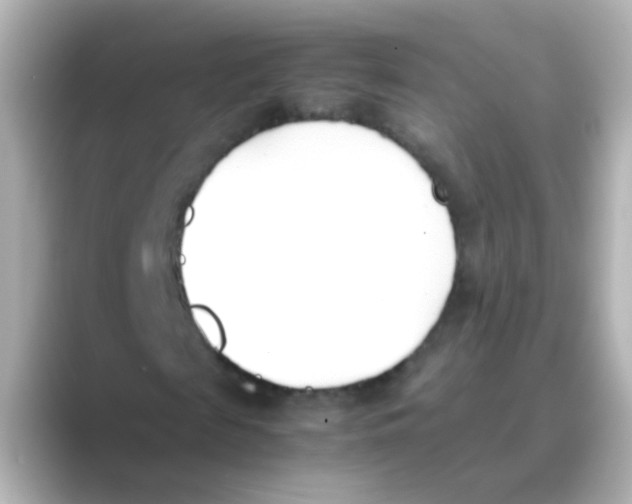 X0000088680817200706211907