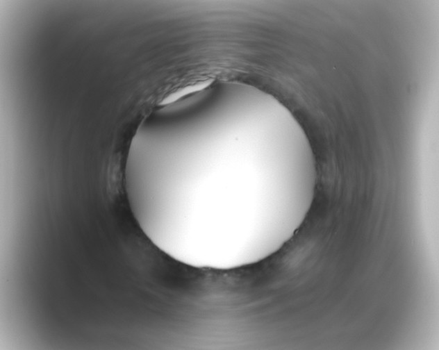 X0000088680818200706211907