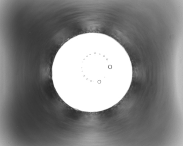 X0000088680820200706211907