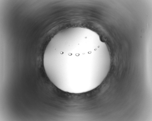 X0000088680821200706211907