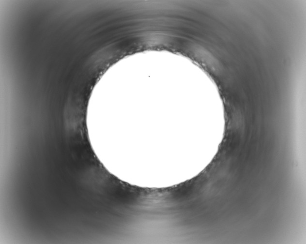 X0000088680824200706211907