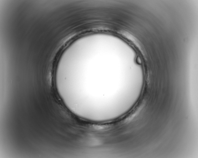 X0000088680829200706211907