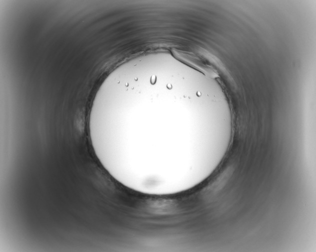 X0000088680833200706211907