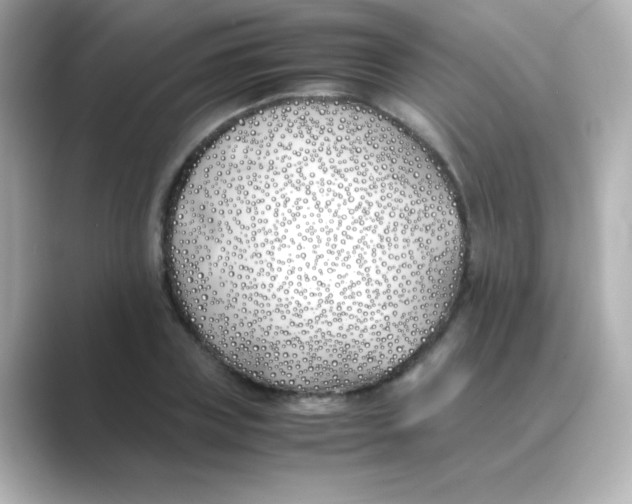 X0000088680835200706211907