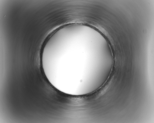 X0000088680838200706211907