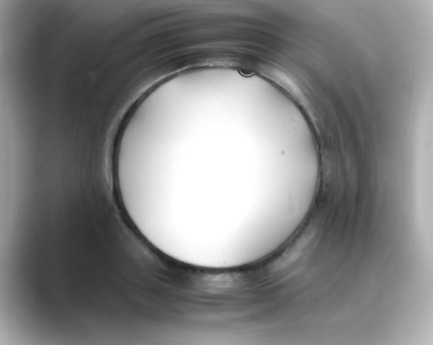 X0000088680843200706211907