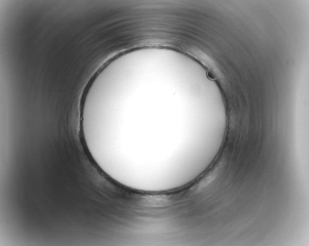 X0000088680844200706211907