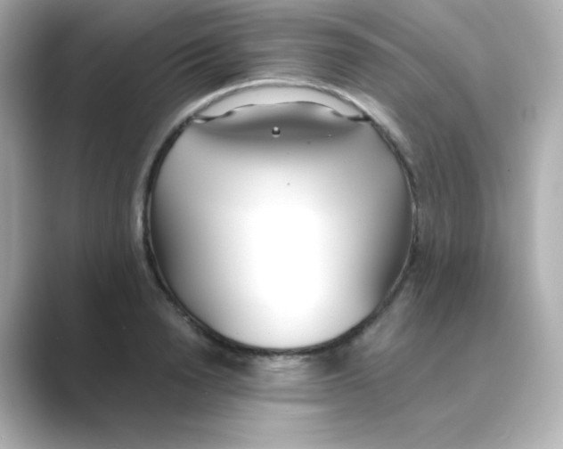 X0000088680846200706211907