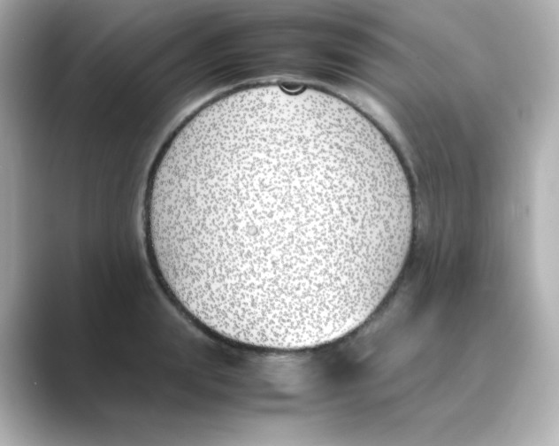 X0000088680847200706211907