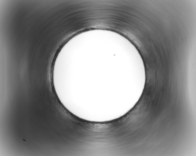 X0000088680848200706211907