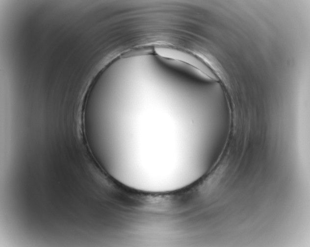 X0000088680850200706211907