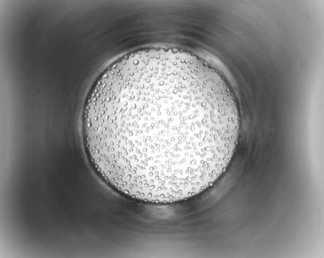 X0000088680855200706211907