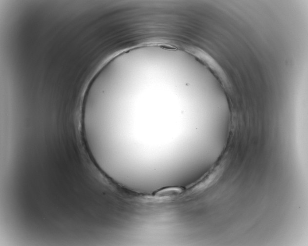 X0000088680860200706211908