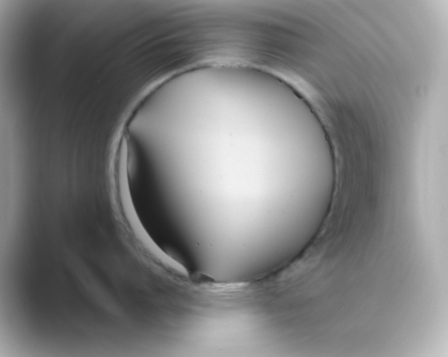 X0000088680864200706211908