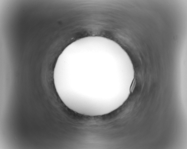 X0000088680865200706211907