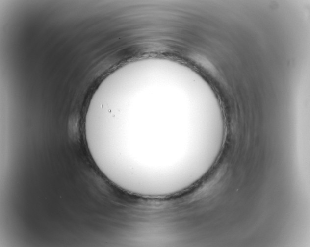X0000088680873200706211907