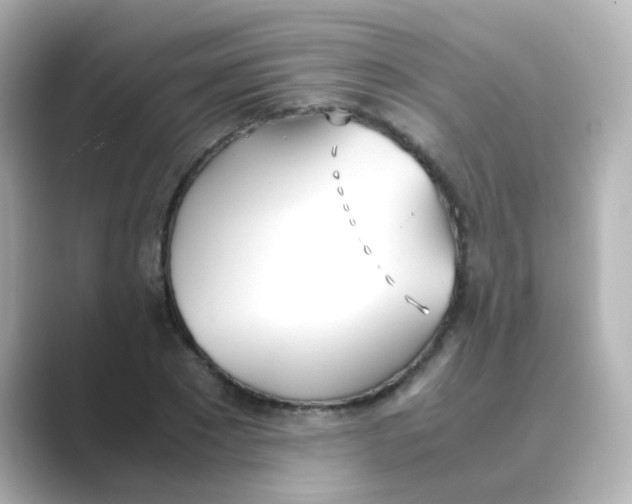 X0000088680881200706211907