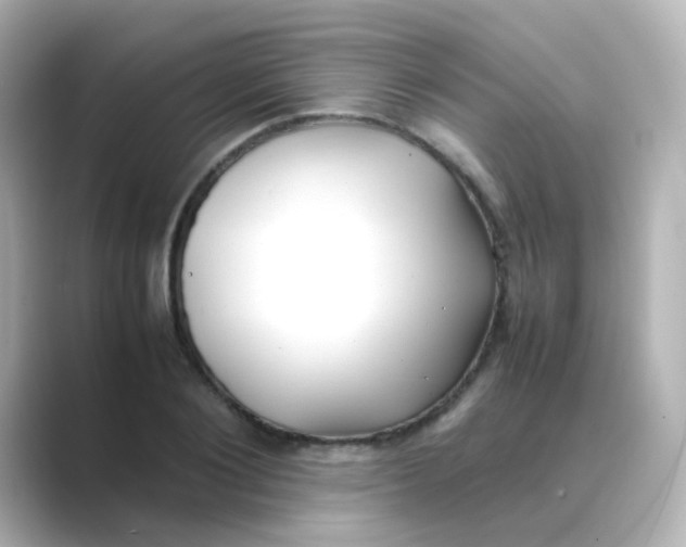 X0000088680884200706211907