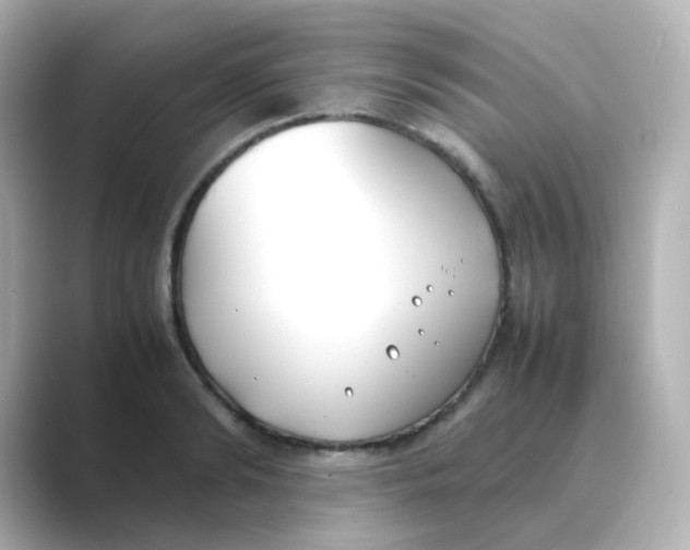 X0000088680894200706211907