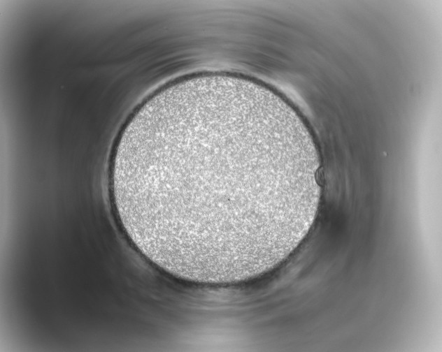 X0000088680895200706211907