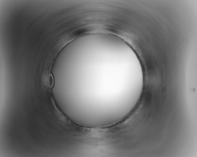 X0000088680905200706211907