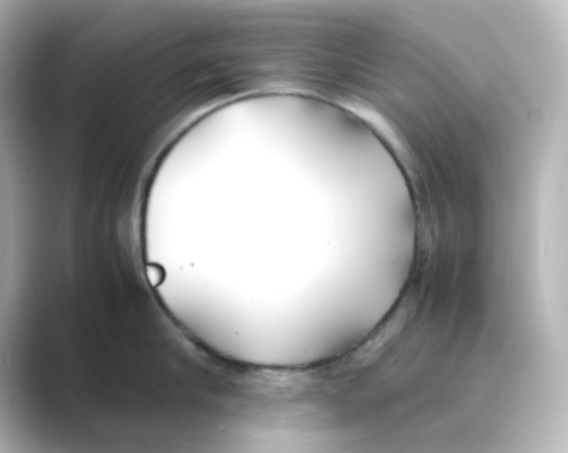 X0000088680910200706211907