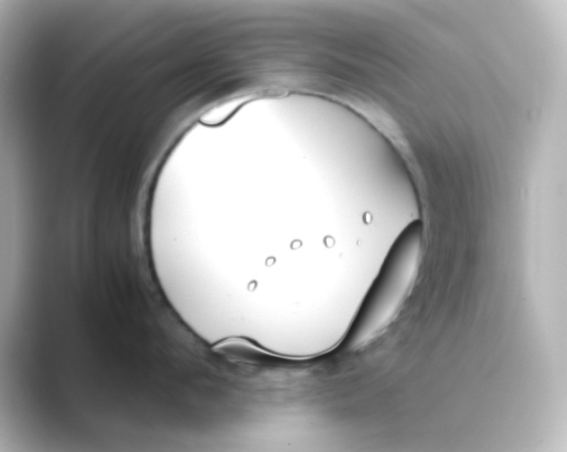 X0000088680912200706211906