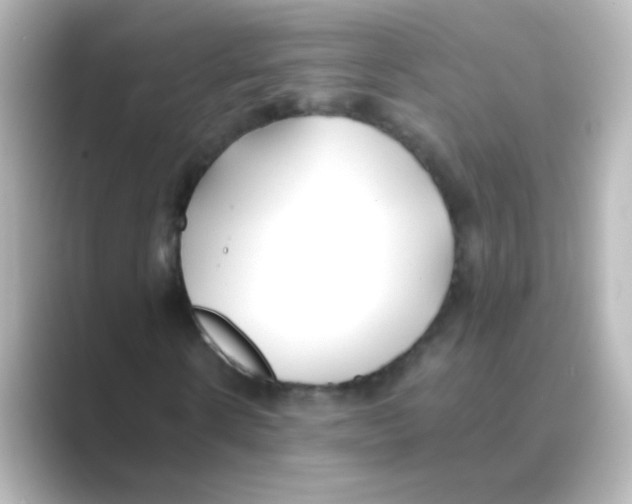 X0000088680914200706211906