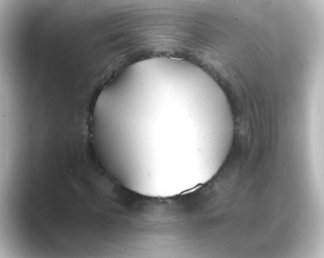 X0000088680916200706211906