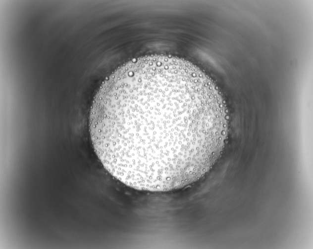 X0000088680917200706211906
