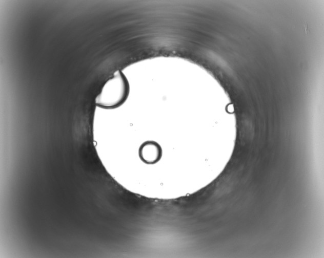 X0000088680918200706211906