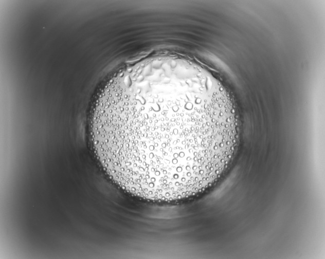 X0000088680921200706211906