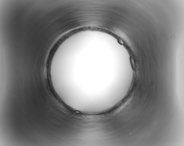 X0000088680924200706211906