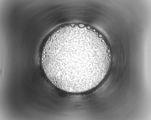 X0000088680925200706211906