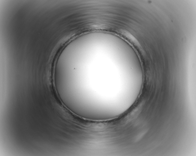 X0000088680930200706211906