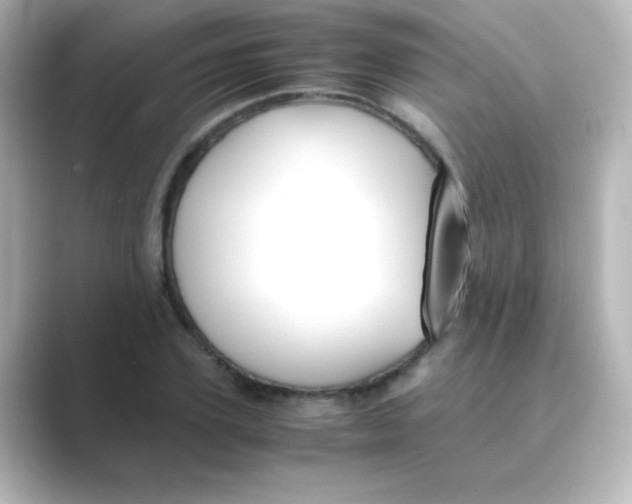 X0000088680931200706211906