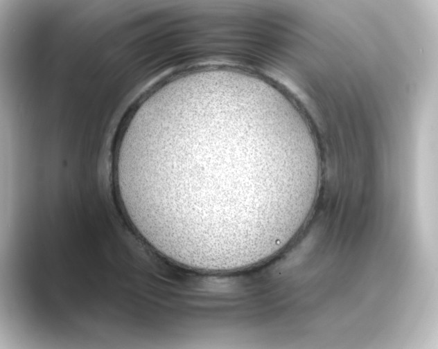 X0000088680933200706211906