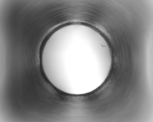 X0000088680934200706211906