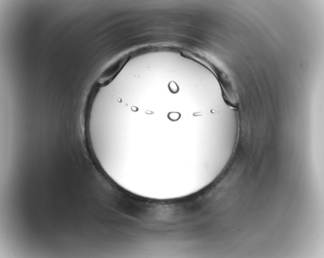 X0000088680935200706211906