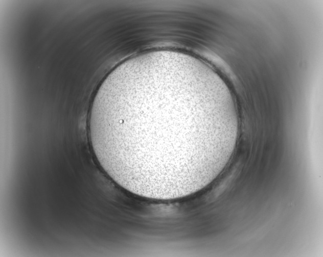 X0000088680937200706211906