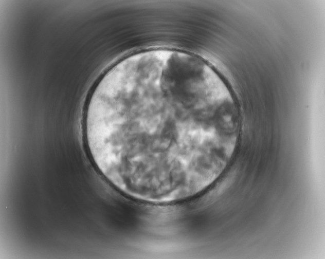 X0000088680941200706211906