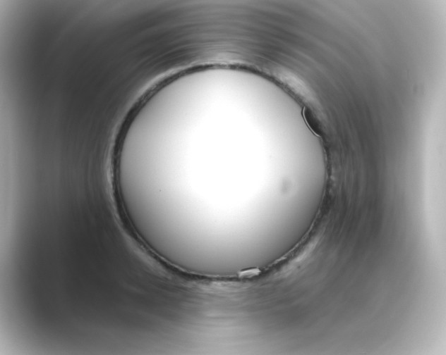 X0000088680942200706211906