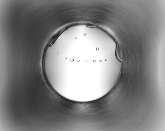 X0000088680943200706211906